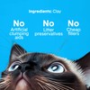 Boxiecat Boxie Unscented 30 Day Odor Control Clumping Clay Cat