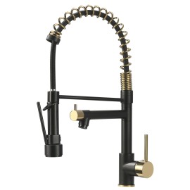 FLG Modern Design Single Handle Pull Down Brass Kitchen Faucet High Quality Torneira for Hotel Use Single Hole InstallationColor: 191-33BG, Surface Finishing: Other
