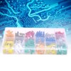 220 Pcs Blade Fuse Kit Small Standard Car Fuse Assortment