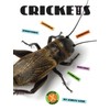 Crickets