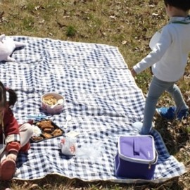 Blue Checkered Waterproof Picnic Mat Large