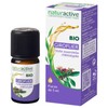Naturactive Organic Essential Oil Clove (Eugenia caryophyllus) 5ml