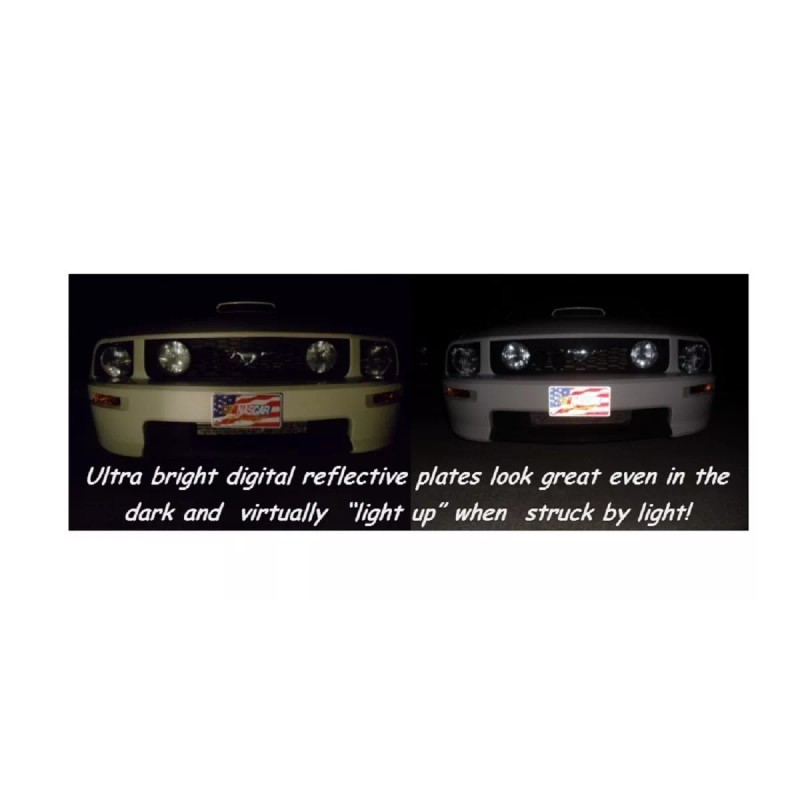 Race Plates #3 Dale Earnhardt Intimidator Faux Diamondplate Design DP0317INT