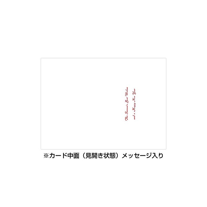 Mini Santa Greeting Life Christmas Card Japanese Style Osechi SJ-71