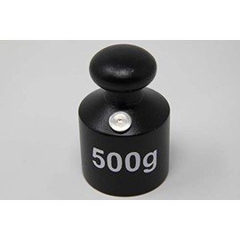 WISSNER Active Learning - Weight Cast Iron 0.5 kg