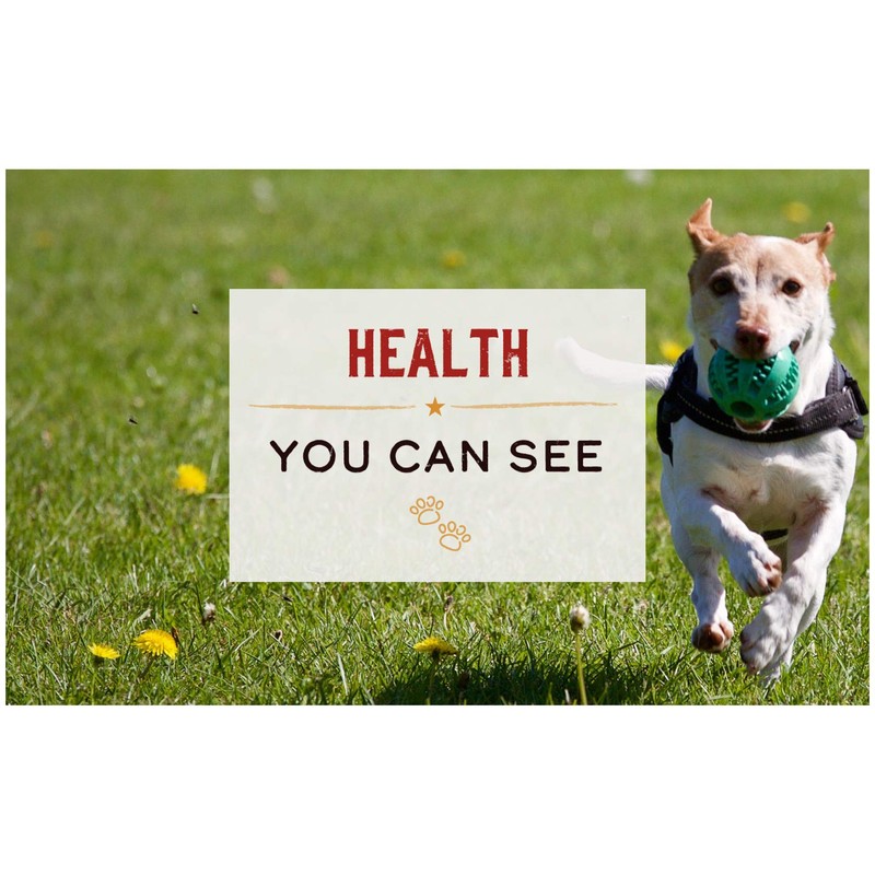 Merrick Power Bites Dog Treats, Real Beef Recipe - 6