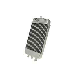 2EXTREME Radiator Compatible with Aprilia RX, SX SM, Derbi Senda R, Gilera RCR, SMT, 50cc Switch Moped