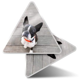2 x Triangle Stickers 10 cm - Boston Terrier Dog Puppy Fun Decals for Laptops,Tablets,Luggage,Scrap Booking,Fridges #16614