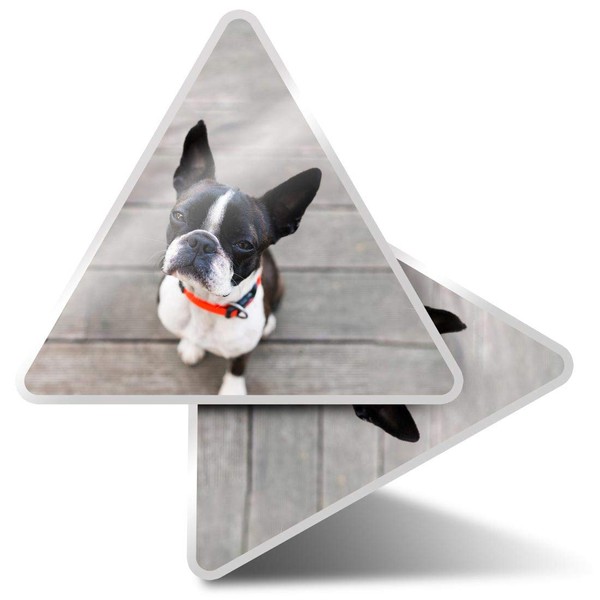 2 x Triangle Stickers 10 cm - Boston Terrier Dog