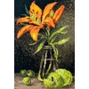 RIOLIS Counted Cross Stitch Kit 6"X8.25"-Lily And Lime (14 Count)