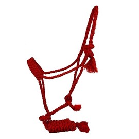 Showman Woven Nylon Mule Tape Halter w/ 8' Removable Lead (Red)
