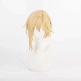 Eileen Ensemble Stars Hinata Nagisa Wig, Heat Resistant Cosplay Wig, Anime Wig, For Disguises, Culture Festival, [Includes Dedicated Net]