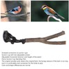 Wooden Perch, Easy Installation Interactive Beak Grinding Bird Branch Perch