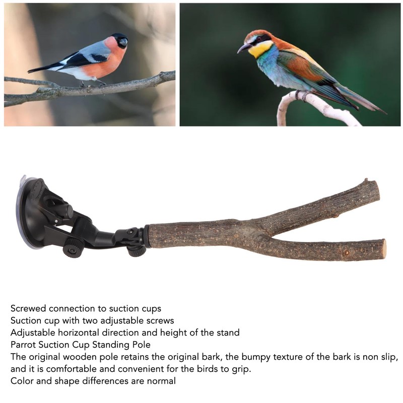 Wooden Perch, Easy Installation Interactive Beak Grinding Bird Branch Perch