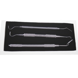 Dental Tartar Scraper and Remover Set in Hollow Handle by RDM