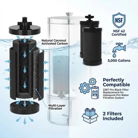 2-Pack Pro Black Water Filter Replacement, NSF/ANSI 42 Certified, 5,000 Gallon Capacity, Compatible with Gravity Water Filtration Systems, for Improved Taste & Contaminant Reduction
