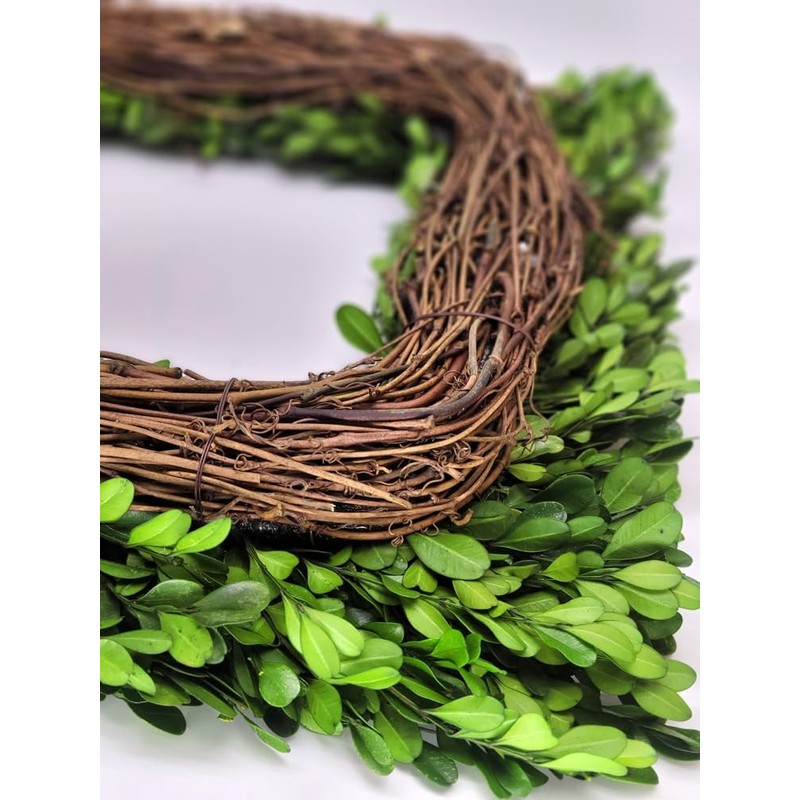 Tradingsmith Preserved Boxwood Square Wreath - 17"