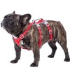 Huntboo Escape Proof Dog Harness Medium, Anti-Pull Dog Harness with