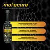 Molecure Pea Complete Fuel System Cleaner 12 oz – High-Strength