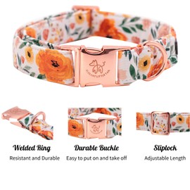 Elegant Little Tail Fall Dog Collar - Durable Orange Floral Dog Collar for Medium Dogs, Adjustable for Male or Female Pets - Perfect