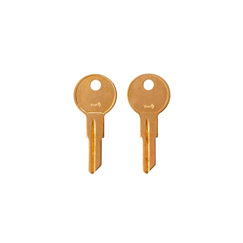 CH508 Pair of 2 Replacement Keys for Locks with CH508