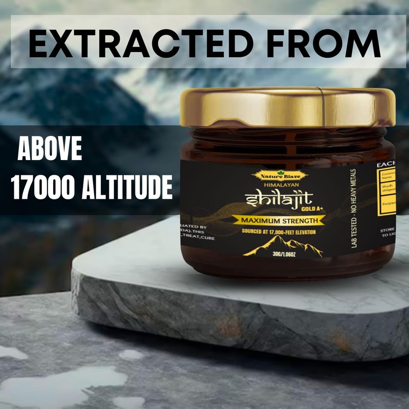 Nature Blaze Himalayan Shilajit Resin (30 Gm / 1.0 Oz)