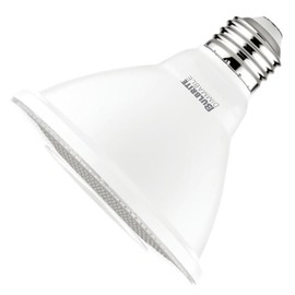 Bulbrite 772245 - LED10PAR30S/B-FL40/830/WD/2 PAR30 Flood LED Light Bulb