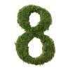 Lillian Rose Green Décor Moss Monogram Number 8 Wedding Table