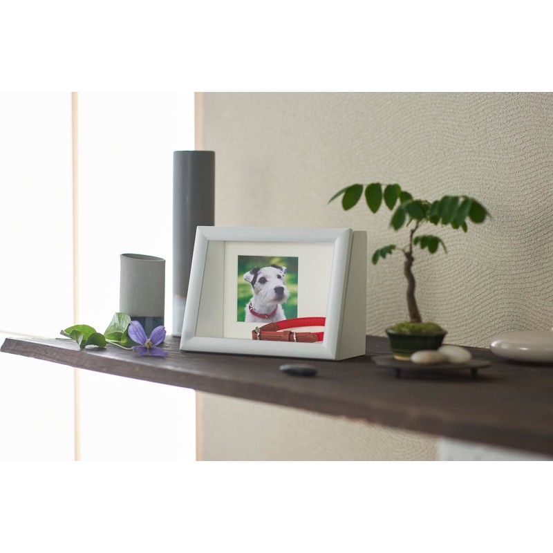 Kenko PS-MB-2L-WH Display Box, 6.6 gal (2 L), White Front