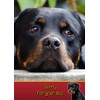 Rottie/Rottweiler Dog Sympathy Card
