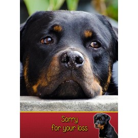 Rottie/Rottweiler Dog Sympathy Card