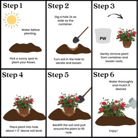 2 Gallon Proven Winners Rose OSO Easy Double Red Shrub