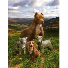 SVT Plush Queen Size Dog Blanket - Extremely Soft - Pitbull Family