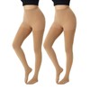 MANZI 2 Pairs 120 Denier Thick Warm Opaque Control Top