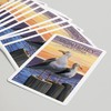 Lantern Press Monterey, California, Seagulls on Pier (52 Playing Cards,