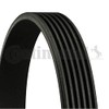 CONTITECH 6PK1520 V-Ribbed Belt