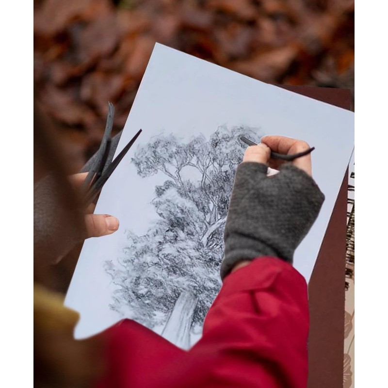 PaulStore 12 Assorted Willow Charcoal Sketch Drawing Natural Charcoal Sticks