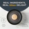 Reveal Natural Wet Kitten Food, 12 Count, Grain Free Wet