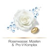 Hair Biology Cleanse & Reconstruct Conditioner for Oily Roots and