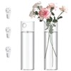 2 Pack Glass Wall Planter Hanging Vases 1.84x5.93 Inch Modern