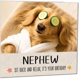 Nephew Birthday Card - Funny Relaxed blonde long haired dachshund Birthday Cards for Nephew