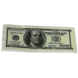 10 Double Veiled Napkins Party Birthday Theme Banknote 100 Dollars 34 x 33 cm