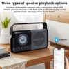 ottosing AM/FM Portable Radio & Bluetooth Speaker- Battery Operated &