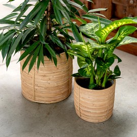 DARO DEKO Rattan Basket Pot Diameter 22 x 20 cm Round Flower Pot Braided Storage Basket Planter Flower Basket