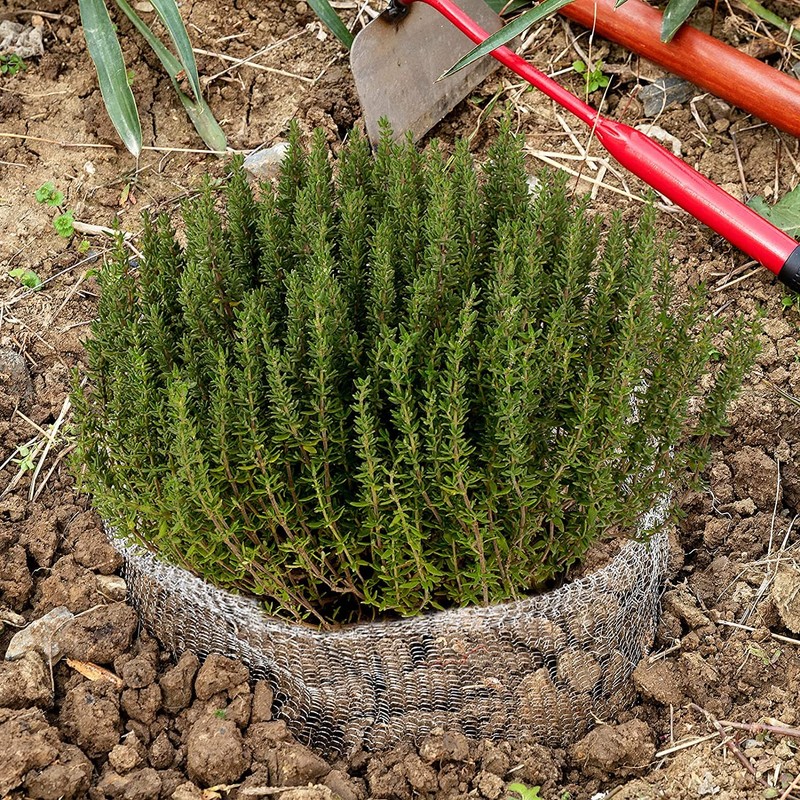 Aulock 5 Gallon Plant Root Protector for Gopher Voles Moles,