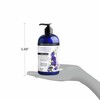 ApotheCARE Essentials The Detox Blend Body Wash Eucalyptus 16 oz