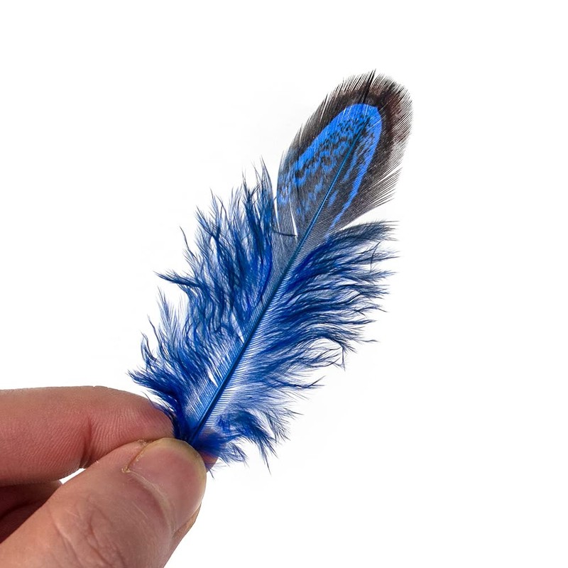 50 Pcs Sapphire Blue Pheasant Feathers 2-3 Inches Plumage for
