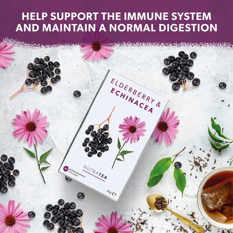 Nutra Tea - Elderberry & Echinacea Tea | Elderberry Tea