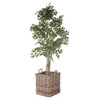 Kouboo Kobo Square Rattan Decorative Storage Basket and Planter, Medium