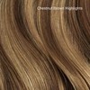 Hair Color Sample Swatch Bundle - Light Brown